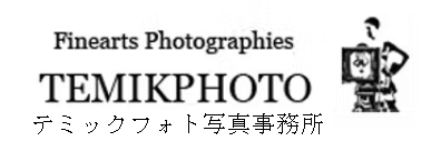 TEMIKPHOTO-logo